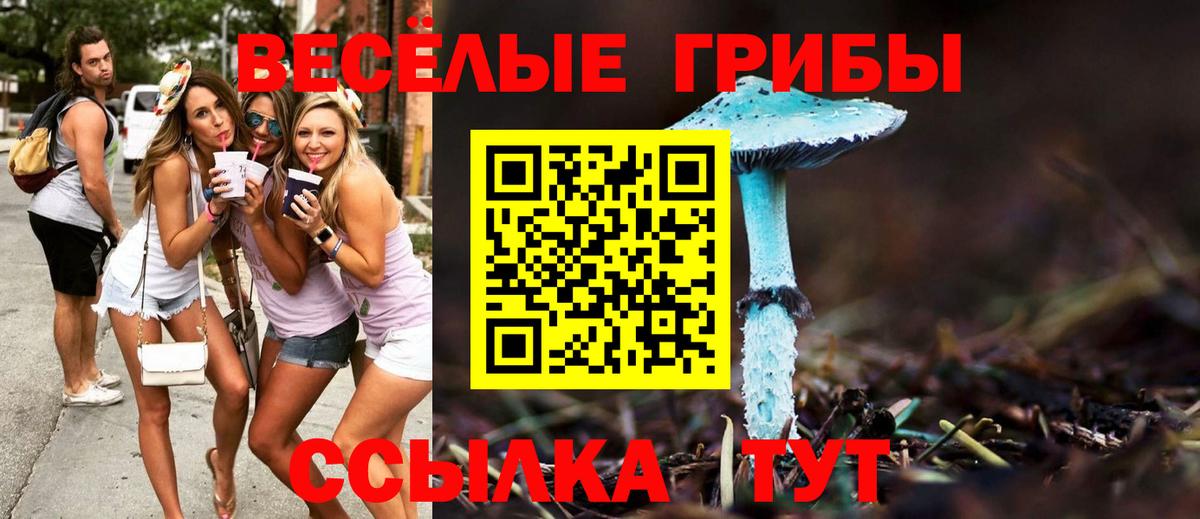 Галлюциногенные грибы мицелий  Вход с VPN  Сафоново  Псилоцибиновые грибы GOLDEN TEACHER 